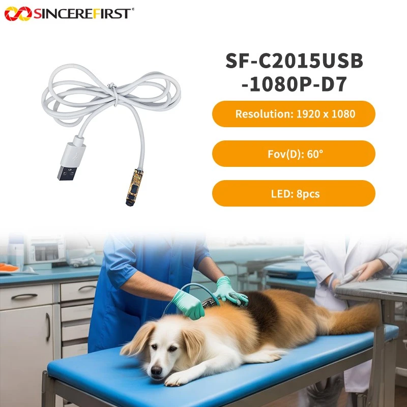 product-800-800