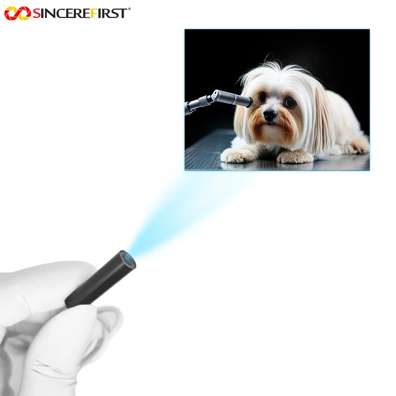 product-800-800