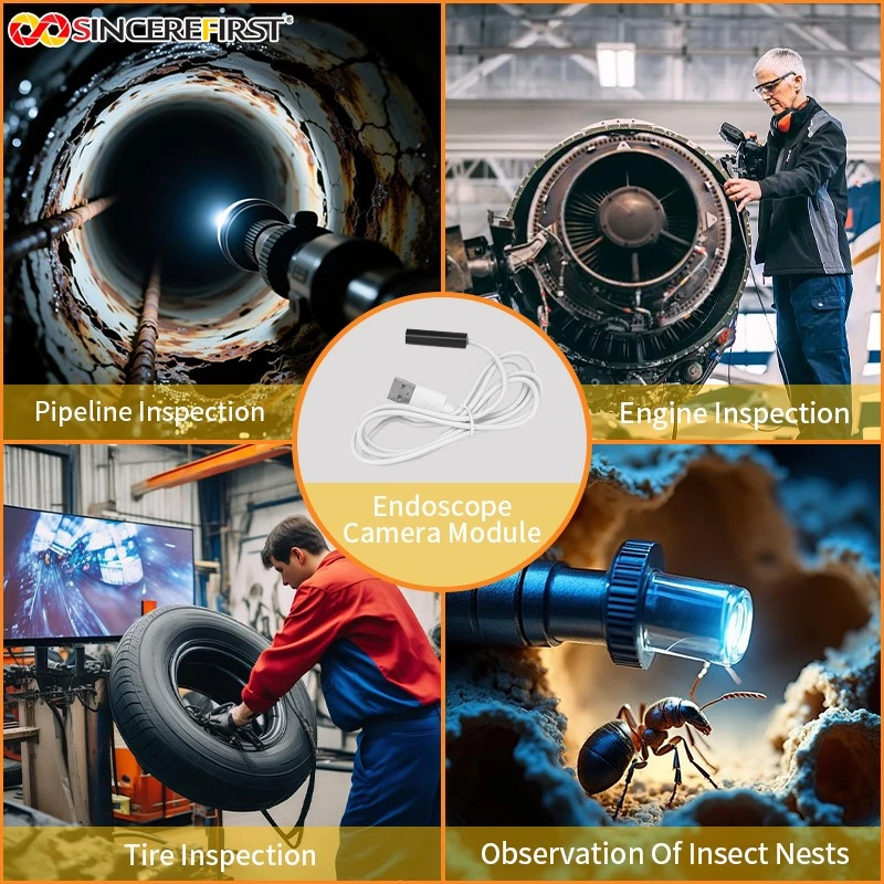 product-800-800